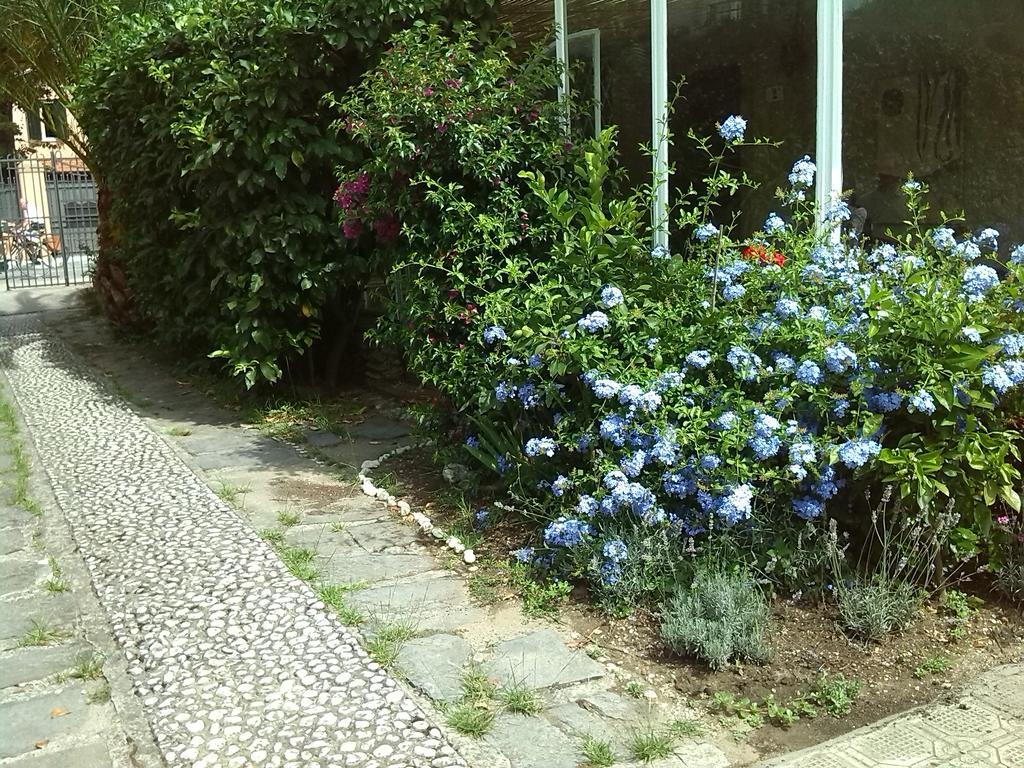 Il Nido Sul Mare A Forte Dei Marmi Bilik gambar